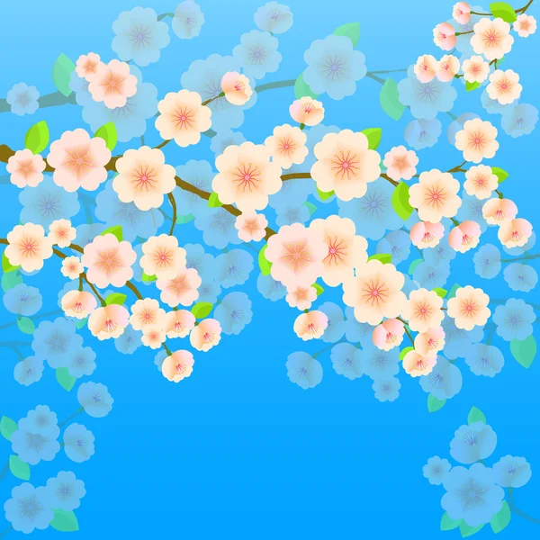 Jarní pozadí s sakura — Stock fotografie