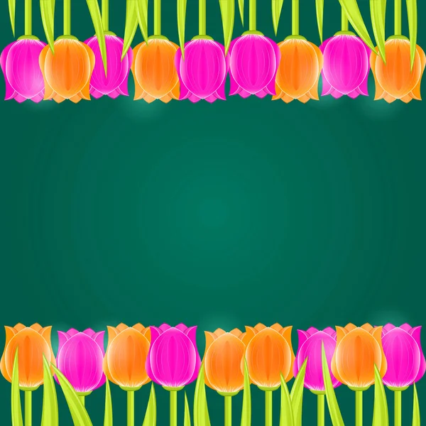 Яскрава різнокольорова рамка тюльпанів — стокове фото