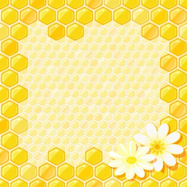 Méhsejt Keret Virággal Narancssárga Mézsejtek — Stock Fotó