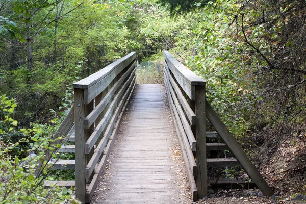 Puente de madera en camino en el parque árboles verdes —  Fotos de Stock