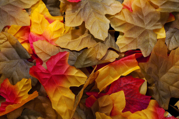 Closeup of Silk Autumn Leaves Red Yellow