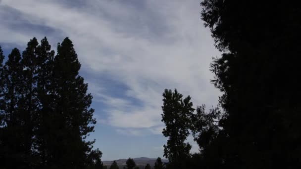 Czas Ucieka Chmur Błękitnym Niebie Sosnami Odległych Górach — Wideo stockowe