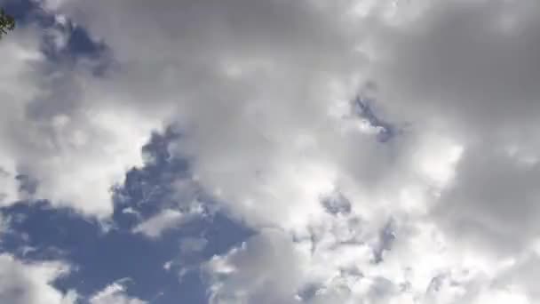 Time Lapse Clouds Cover Going Blue Sky Petit Patch Feuilles — Video
