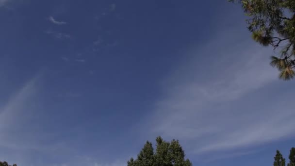 Tempo Lapso Camada Fina Nuvens Cirros Com Céu Azul Árvores — Vídeo de Stock