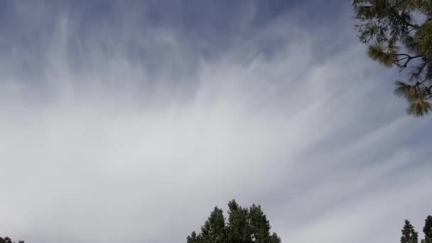 Tempo Lapso Camada Nuvens Com Céu Azul Árvores — Vídeo de Stock