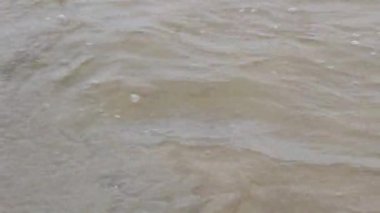 Tight Shot Of Water In Small Creek Flowing Over Sand To Ocean Oregon Coast
