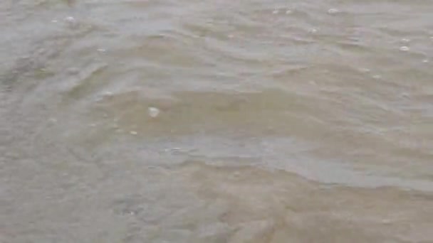 Tight Shot Water Small Creek Flowing Sand Ocean Oregon Coast — Vídeos de Stock