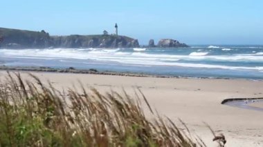 Sand Beach In Newport Oregon With Lighthouse Blue Sky Grass And Seagulls