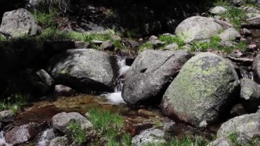 Small Stream Waterfall Amid Granite Rocks Yosemite National Park California Lichen Green Grass
