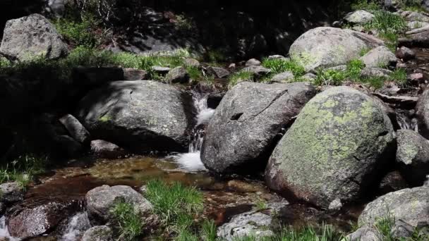 Small Stream Waterfall Granite Rocks Yosemite National Park California Lichen — Αρχείο Βίντεο