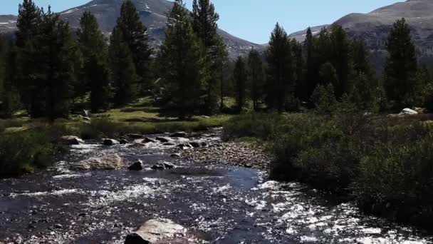 Merced River Flowing Camera Yosemite National Park California Rocks Trees — Stockvideo