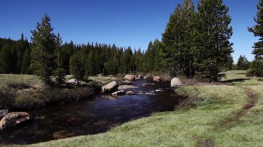 Merced Nehri Yosemite Ulusal Parkı 'ndan Akıyor Kaliforniya Ağaçları Çimen Yolu
