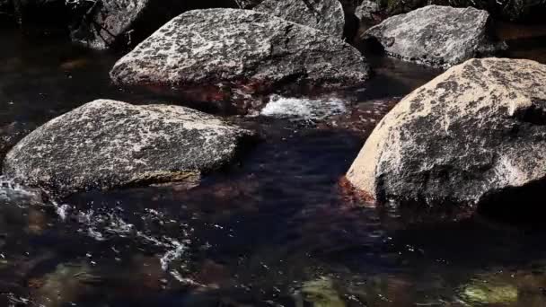 Merced River Flowing Rapids Flowing Rocks Yosemite National Park California — Stock video