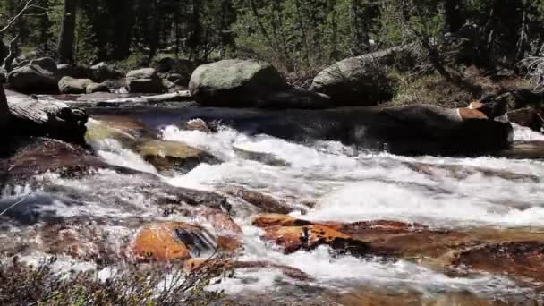 Merced River Flowing Rapids Che Scorre Sulle Rocce Parco Nazionale — Video Stock