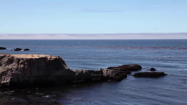 ポイントアリーナ付近の北カリフォルニア沖を移動する漁船 Blue Sky Fog Bank — ストック動画