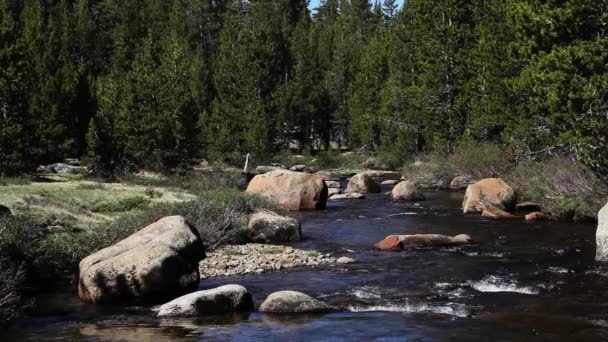 Merced River Der Aus Dem Yosemite Nationalpark Kalifornien Wegfließt Rockt — Stockvideo