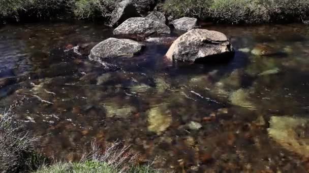Tight Shot Merced River Yosemite Flyter Försiktigt Över Och Tidigare — Stockvideo