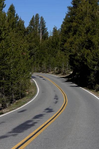 Curve Two Lane Road Running Yosemite National Park California Green — Stock Photo, Image