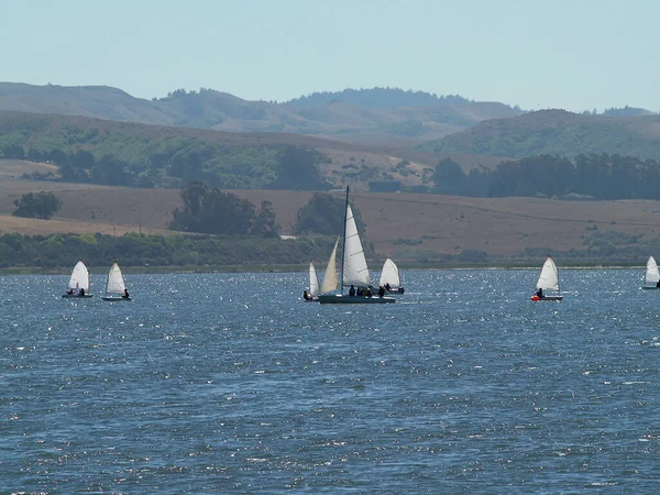 サンフランシスコ湾の練習用ブイを背景にしたいくつかの小さな帆船 — ストック写真