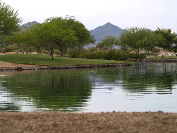 Hotel Grounds Arizona Green Trees Lawn Reflected Pond Mountains Background — Stock Photo, Image