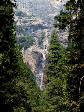 Yeşil Çam Ağaçları ve Şelale etrafındaki Granit Kayalar Yosemite Ulusal Parkı Kaliforniya