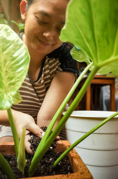 Mujer Asiática Feliz Jardinería Plantando Planta Interior Olla Llenado Con — Foto de Stock