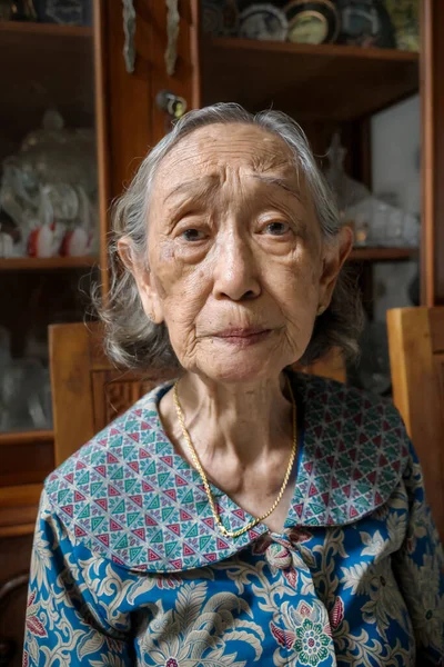 Ritratto Sana Donna Anziana Del Sud Est Asiatico Anni — Foto Stock