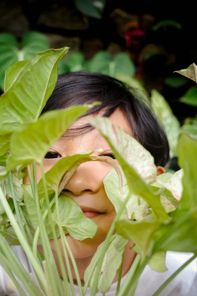 Shy Asian little boy hiding behind tropical green, white and pink milk confetti leaves