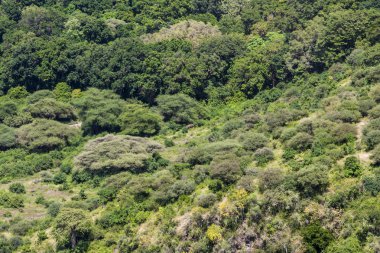 vergisel twin falls ve jim jim fals kakadu Ulusal Parkı, Avustralya