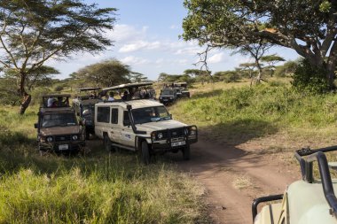 Safari arabalar