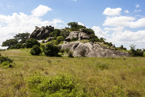 Serengeti Nemzeti Park — Stock Fotó