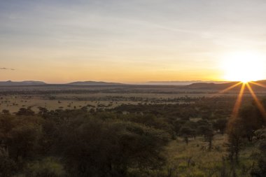 gün batımında serengeti Milli Parkı