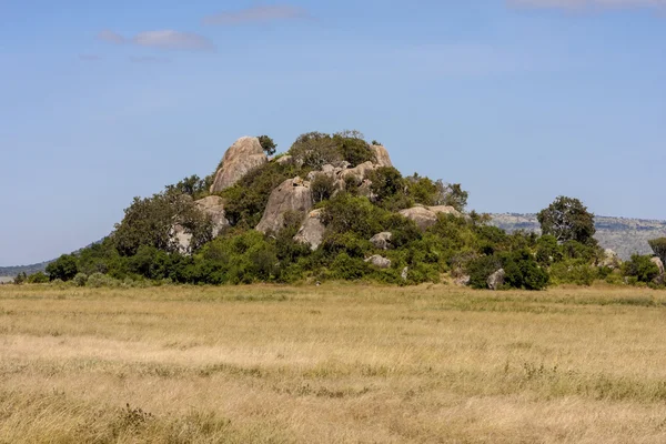 Park narodowy Serengeti — Zdjęcie stockowe