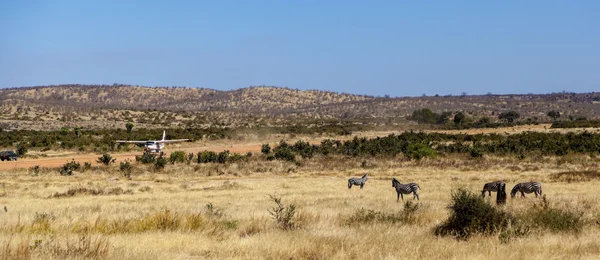 Národní park Serengeti — Stock fotografie