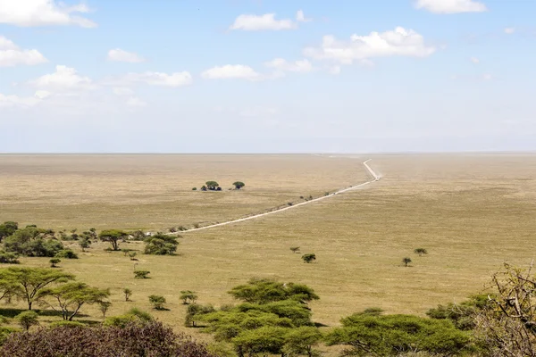 Parque Nacional del Serengeti — Foto de Stock