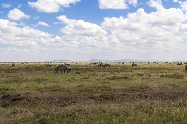 Capanna turistica africana di notte — Foto Stock