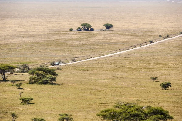 Park narodowy Serengeti — Zdjęcie stockowe
