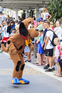 gold coast 600 araba yarışı