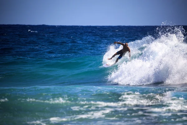 The World Best Surfers — Stock Photo, Image