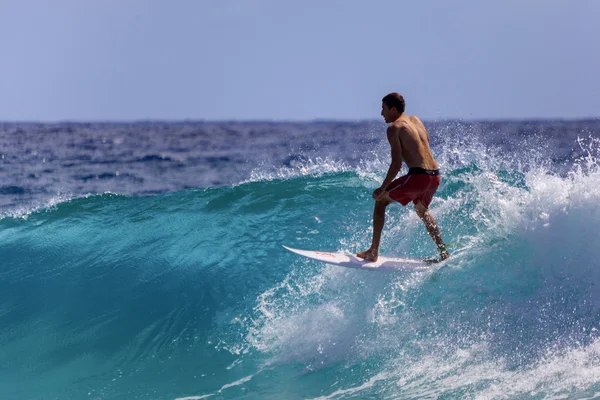 Los mejores surfistas del mundo — Foto de Stock