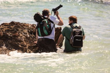 dünyanın en iyi surfers