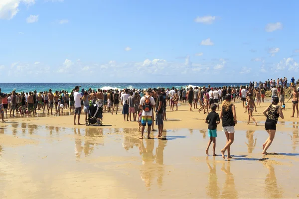 Los mejores surfistas del mundo —  Fotos de Stock