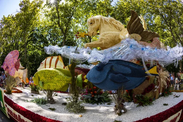 Дебрецен Венгрия Августа 2021 Года Фестиваль Цветов Гигантские Скульптуры Композиции — стоковое фото
