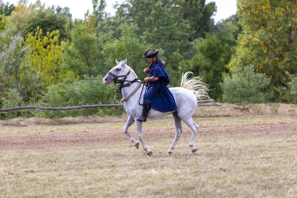 Hortobagy Hungary August 2021年 伝統的な民族衣装に身を包んだハンガリーのシコが 訓練を受けた馬を披露する ハンガリーの伝統的な馬の牧畜民 Hortobagy ハンガリー — ストック写真