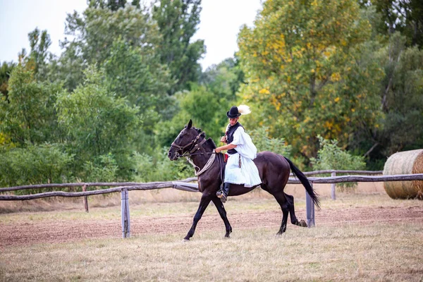 Hortobagy Hungary August 2021年 伝統的な民族衣装に身を包んだハンガリーのシコが 訓練を受けた馬を披露する ハンガリーの伝統的な馬の牧畜民 Hortobagy ハンガリー — ストック写真