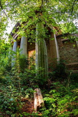  Ormanın kırsalında klasik bir harabe..