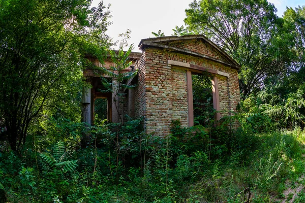 Classical Ruin Countryside Forest — Stock Photo, Image