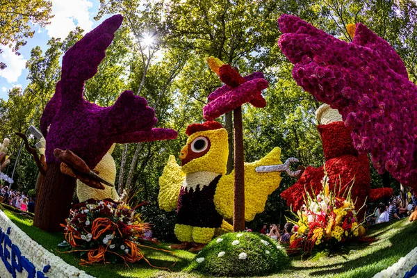 Debrecen Węgry Sierpnia 2021 Festiwal Kwiatów Gigantyczne Rzeźby Kompozycje Wykonane — Zdjęcie stockowe