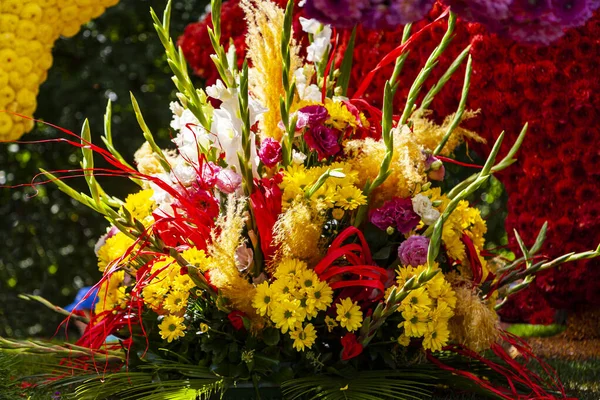 Debrecen Ungarn August 2021 Blumenfest Gigantische Skulpturen Kompositionen Aus Verschiedenen — Stockfoto