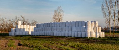 Depoda paketlenmiş saman ruloları.